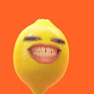 Meet your Posher, Lidia